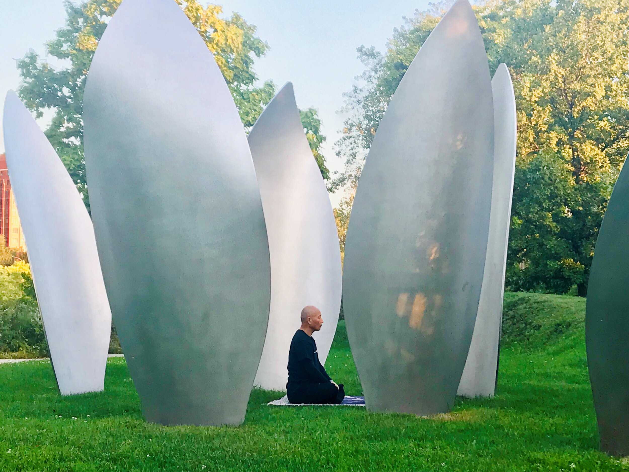 Skylanding-Retired — The Garden of the Phoenix Foundation